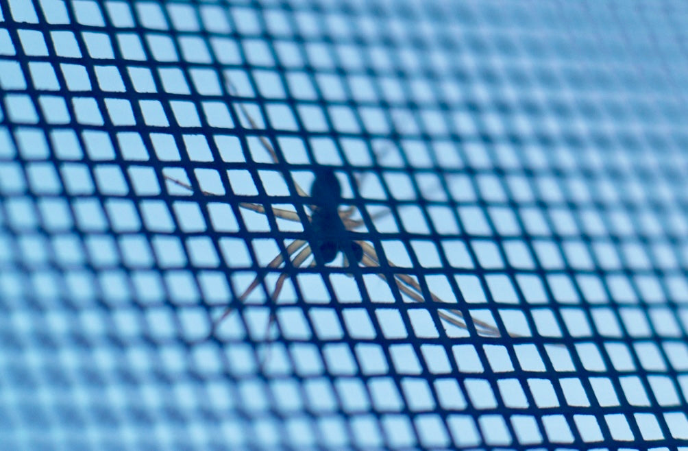Insekten bleiben draußen – jeder hat seinen Lebensraum